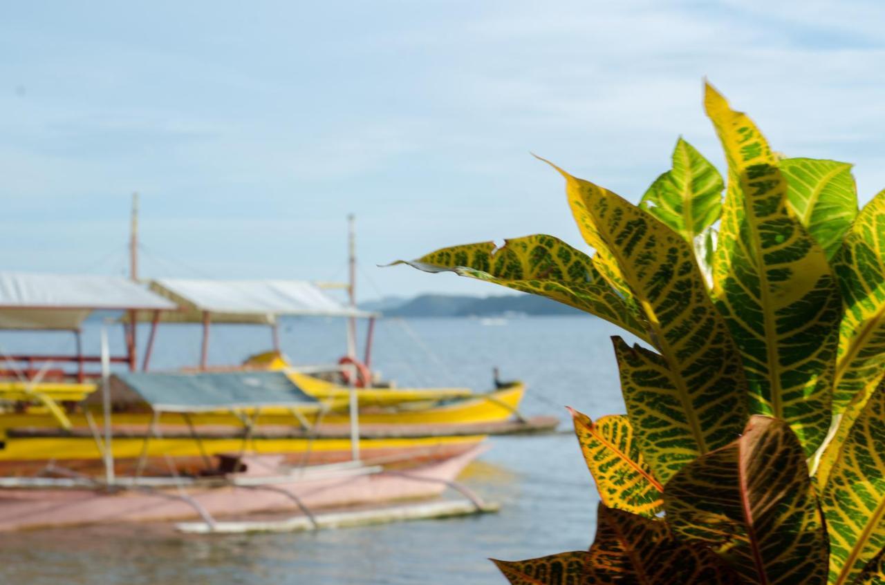 Concepcion Divers Lodge Busuanga Eksteriør bilde